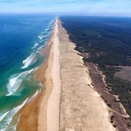 SEIGNOSSE PLAGES: Beau Studio équipé avec terrasse face aux dunes Extérieur photo
